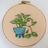 Vibrant Pothos