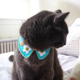 Kitten Collar - Bright blue with orange and white daisies